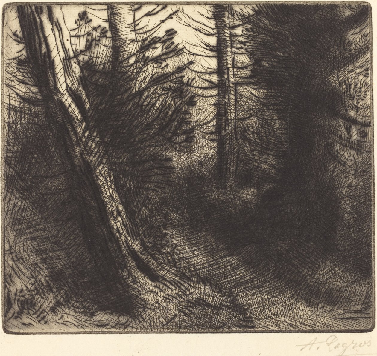 树林之路（Sentier sous bois） 作者 阿方斯·莱格罗斯（Alphonse Legros）