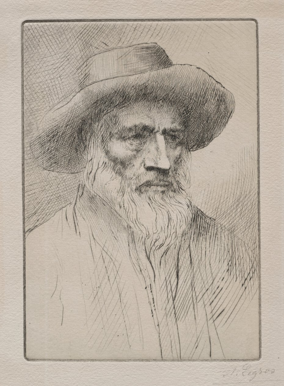 孚日山脉 作者 阿方斯·莱格罗斯（Alphonse Legros）