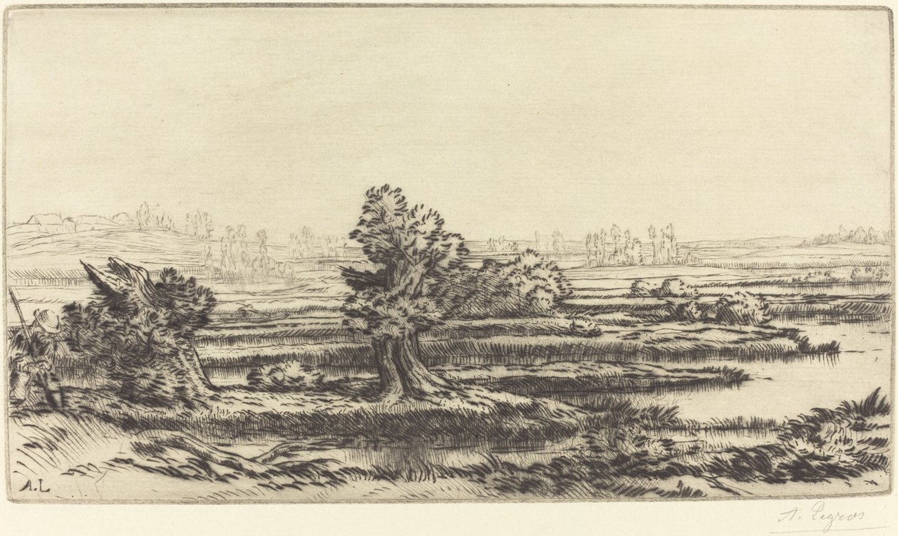 泥炭沼泽地Les Tourbieres。 作者 阿方斯·莱格罗斯（Alphonse Legros）