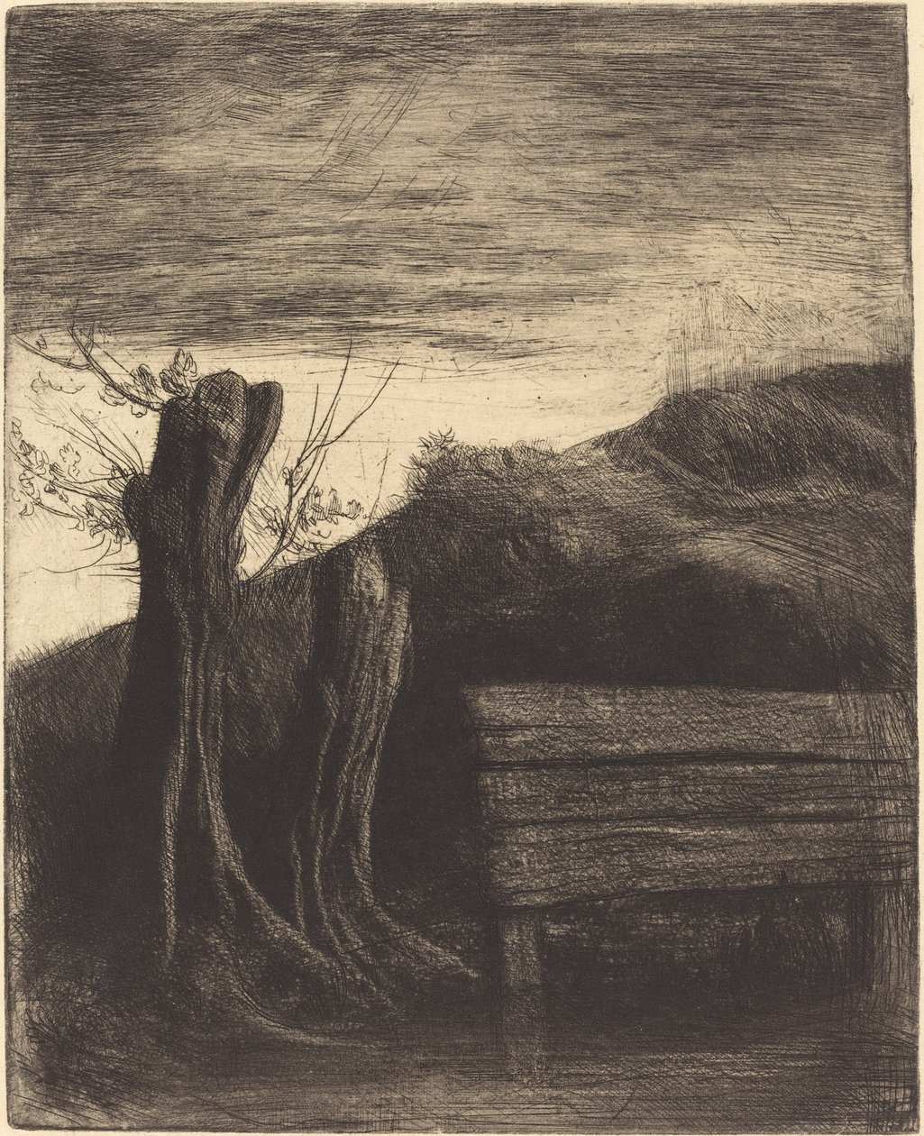 波拉德柳树(Les saules tetards) 作者 阿方斯·莱格罗斯（Alphonse Legros）