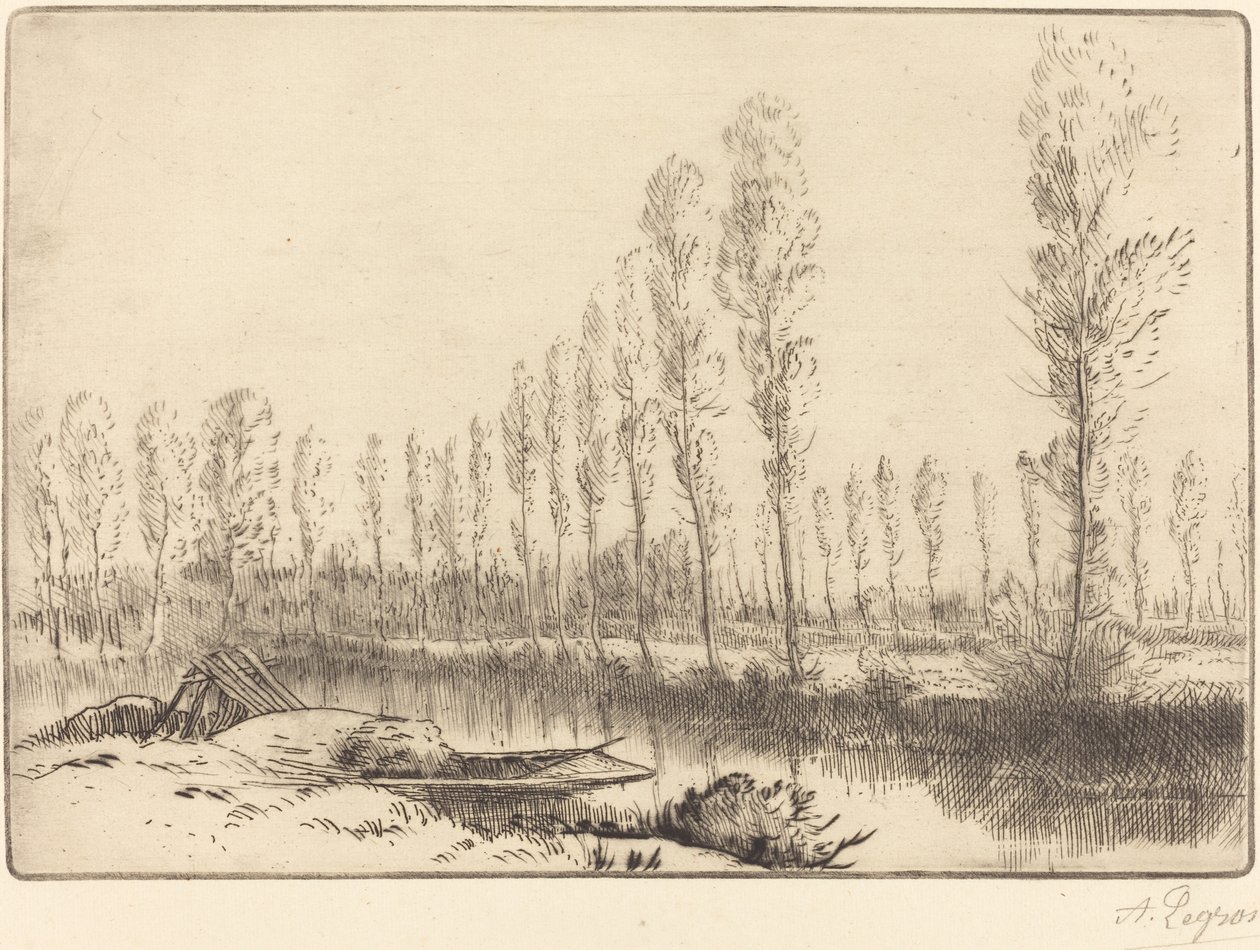 亚眠附近的胡杨树（亚眠附近，les tourbieres）。 作者 阿方斯·莱格罗斯（Alphonse Legros）