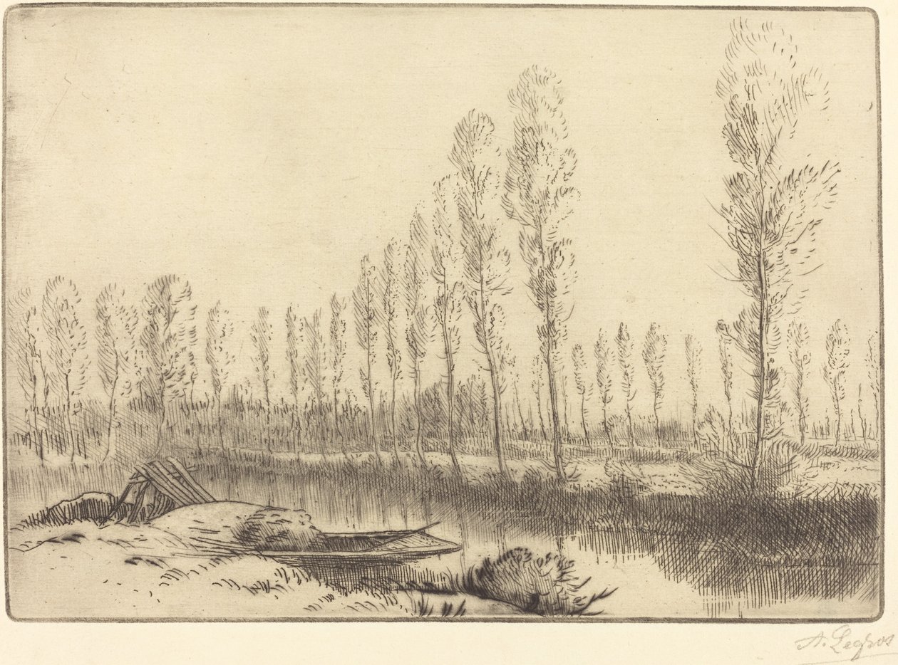 亚眠附近的胡杨树 亚眠附近，les tourbieres。 作者 阿方斯·莱格罗斯（Alphonse Legros）