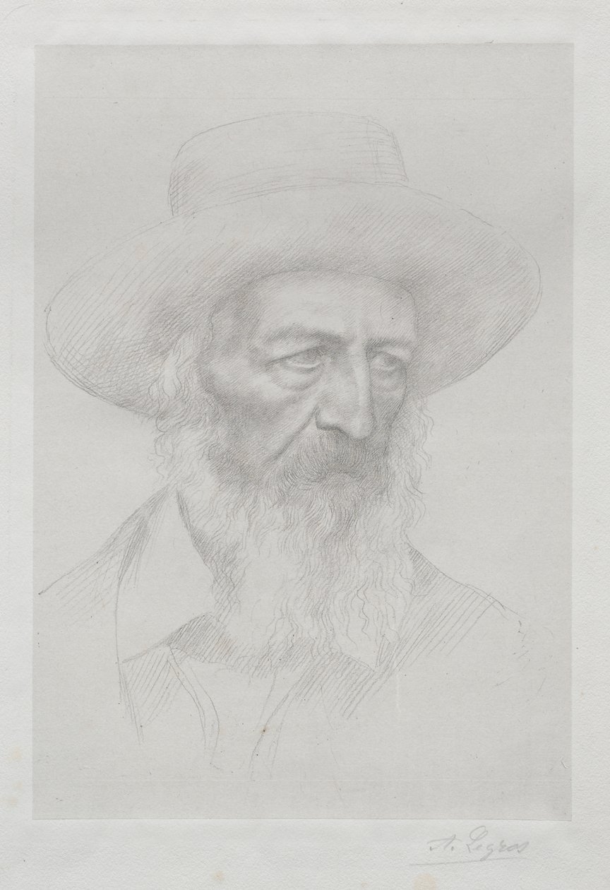 阿尔弗雷德-丁尼生肖像 作者 阿方斯·莱格罗斯（Alphonse Legros）