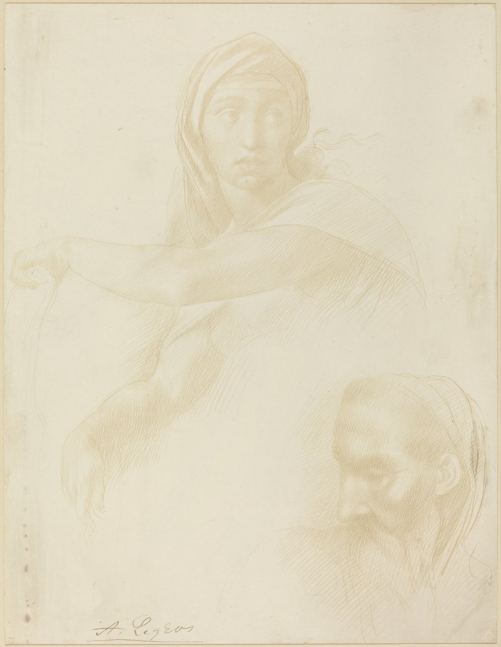 Delphic Sibyl的研究，男人的头。 作者 阿方斯·莱格罗斯（Alphonse Legros）