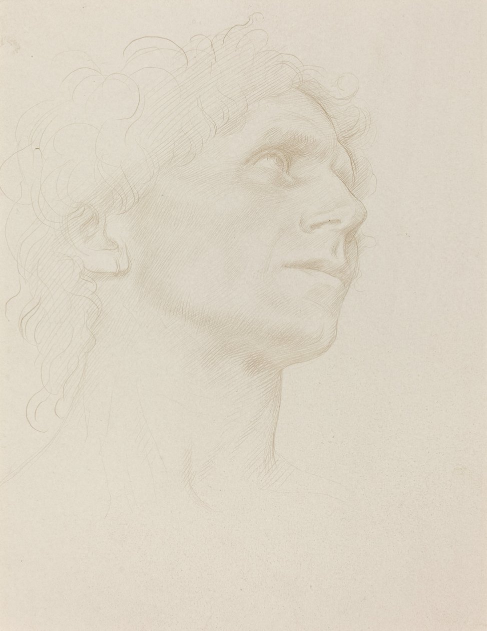女人头的研究，向右转。 作者 阿方斯·莱格罗斯（Alphonse Legros）