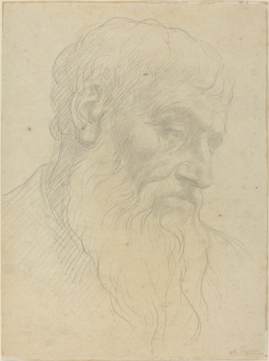 头部的研究。 作者 阿方斯·莱格罗斯（Alphonse Legros）