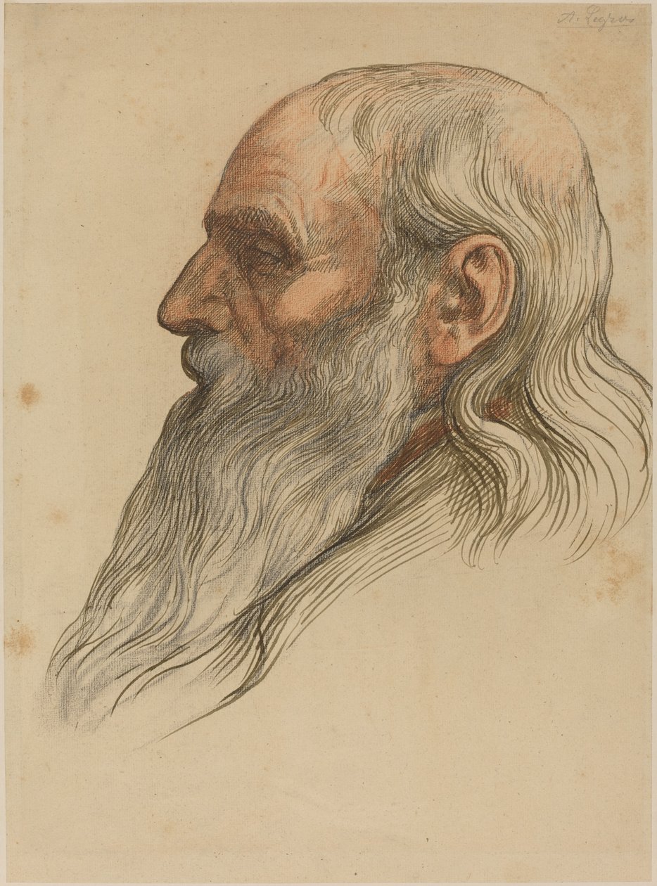 蓄满胡须的男子头部研究 作者 阿方斯·莱格罗斯（Alphonse Legros）