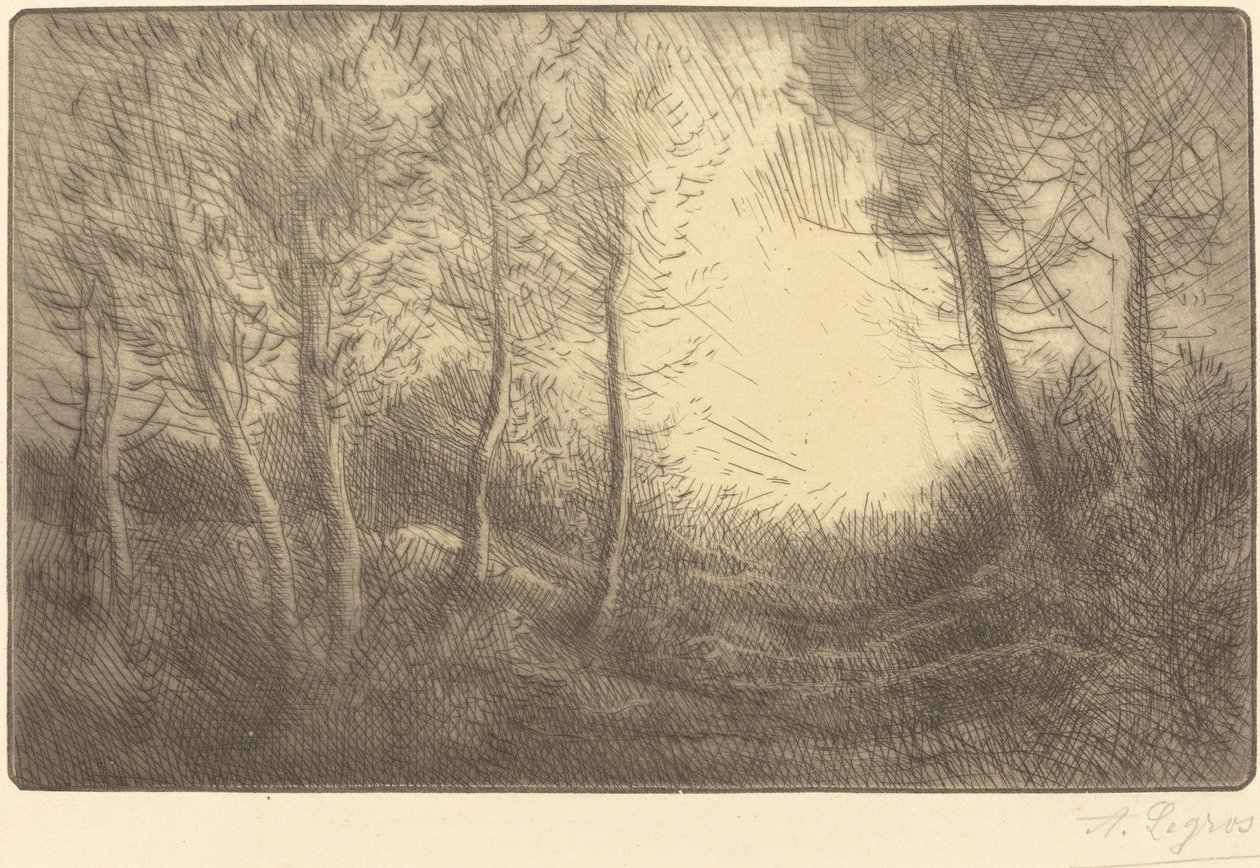 日出，克拉玛德的森林 Lever du soleil, bois de Clamard. 作者 阿方斯·莱格罗斯（Alphonse Legros）