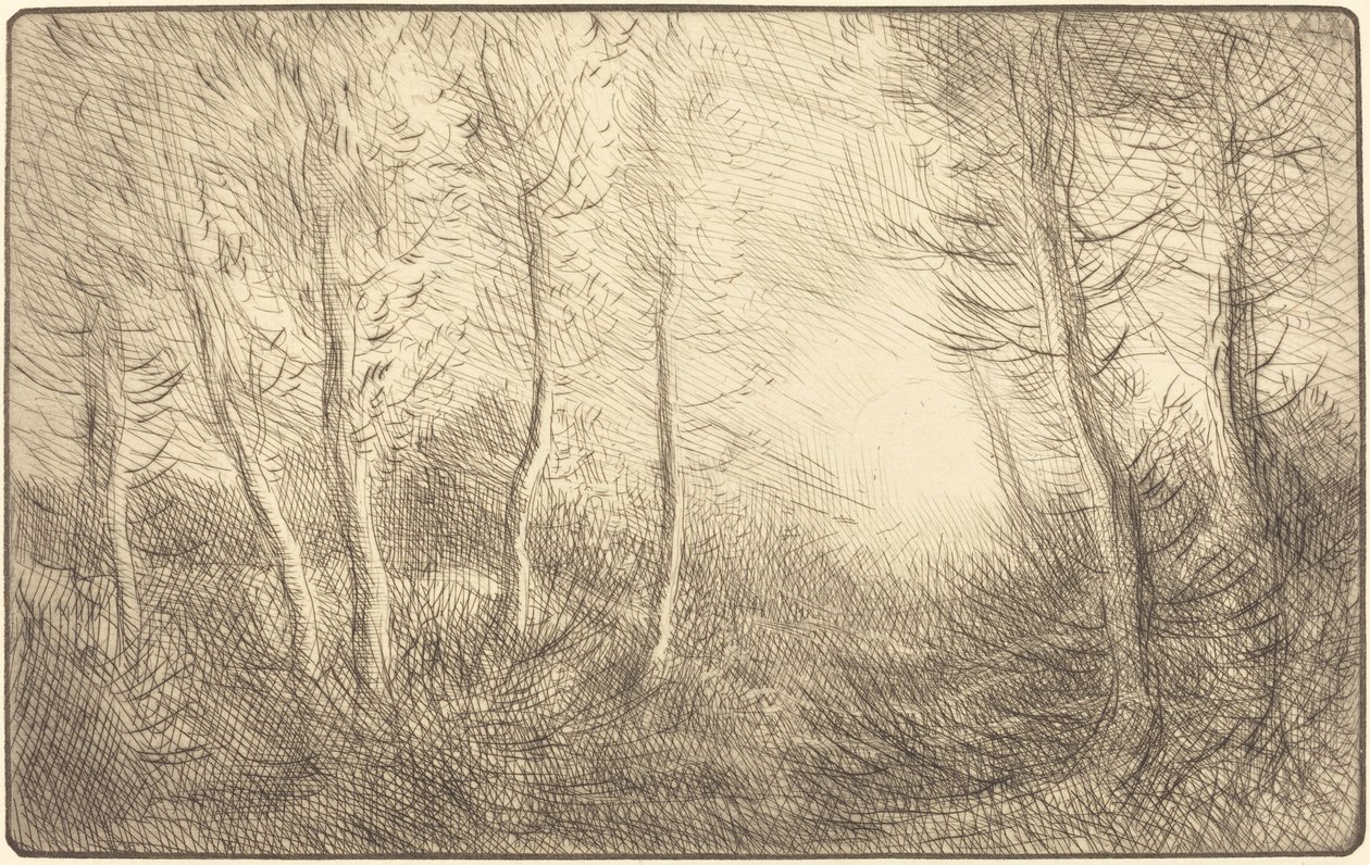日出，克拉玛德的森林 Lever du soleil, bois de Clamard. 作者 阿方斯·莱格罗斯（Alphonse Legros）