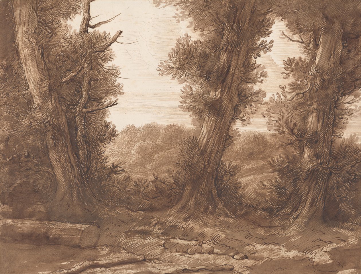 大树。 作者 阿方斯·莱格罗斯（Alphonse Legros）