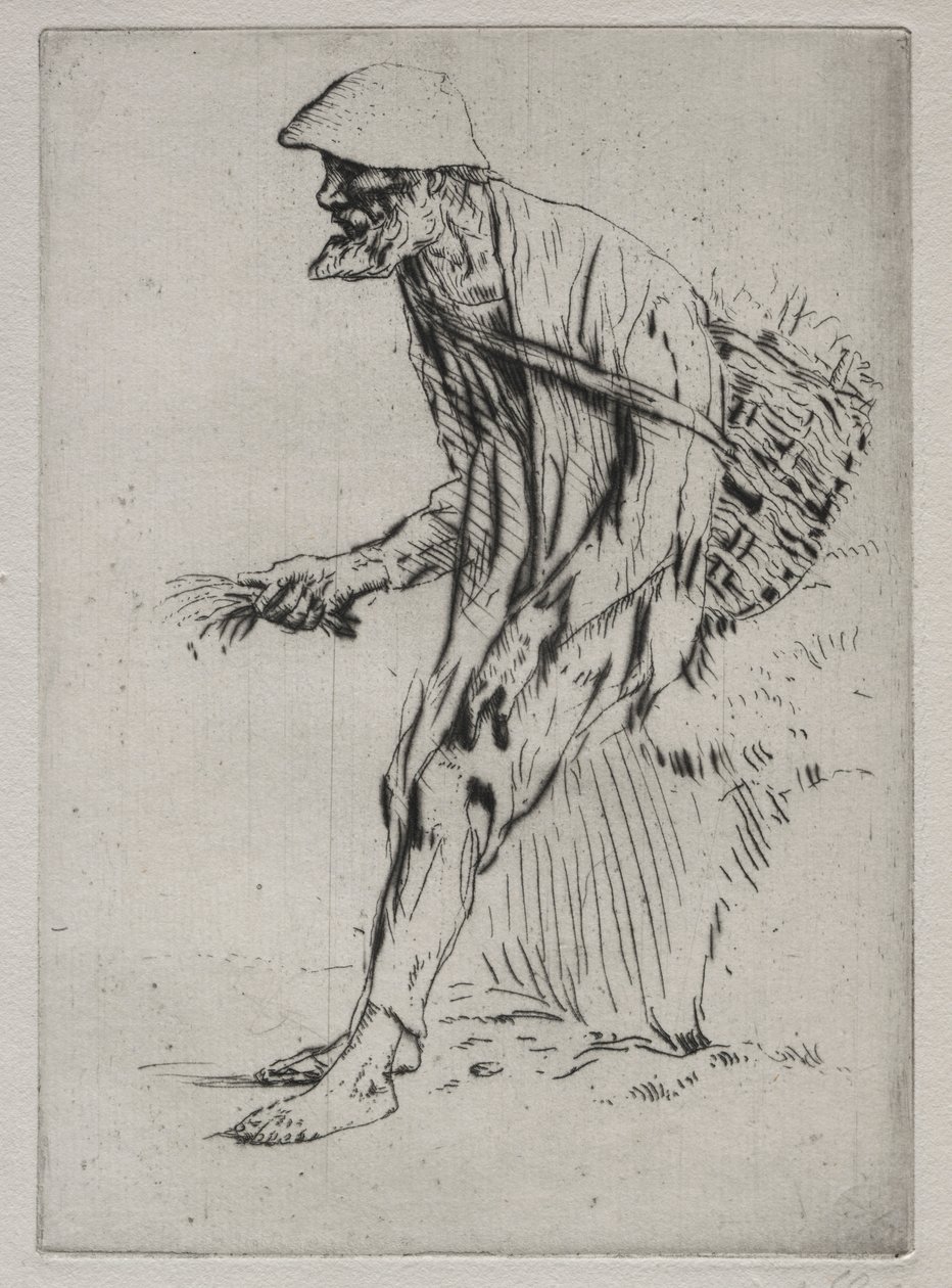 红色Pimpernel供应商。 作者 阿方斯·莱格罗斯（Alphonse Legros）