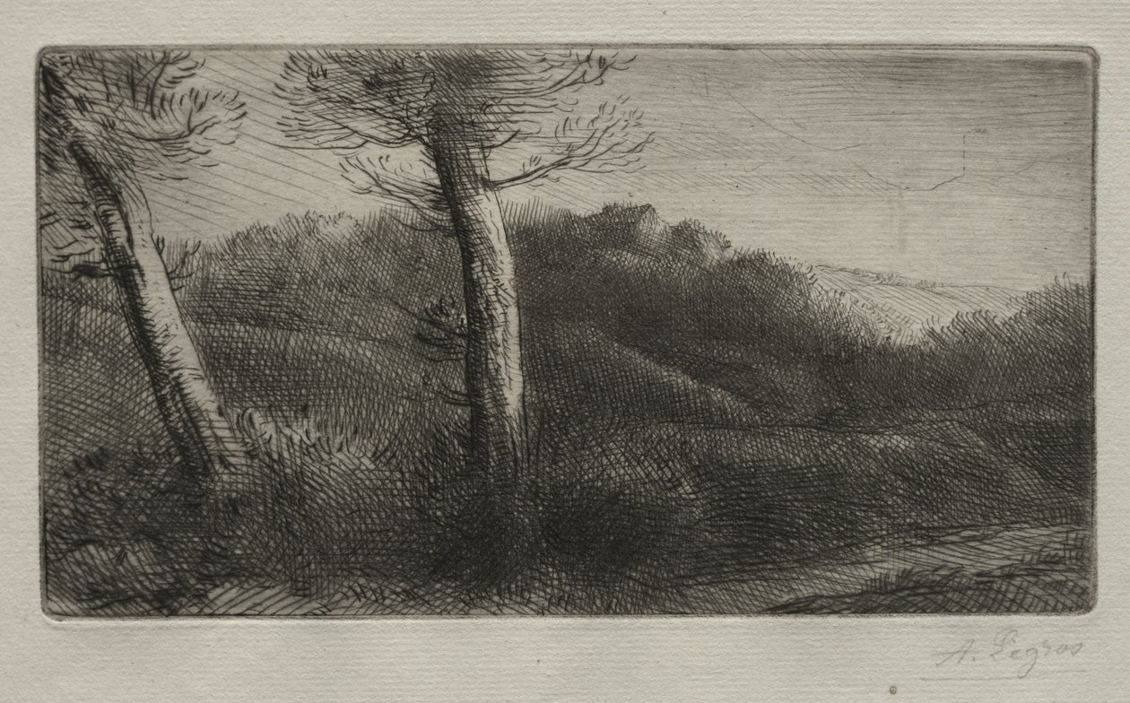 躺在草地上的旅行者 作者 阿方斯·莱格罗斯（Alphonse Legros）