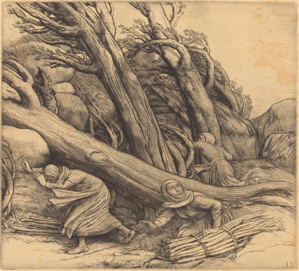 龙卷风 台风。 作者 阿方斯·莱格罗斯（Alphonse Legros）