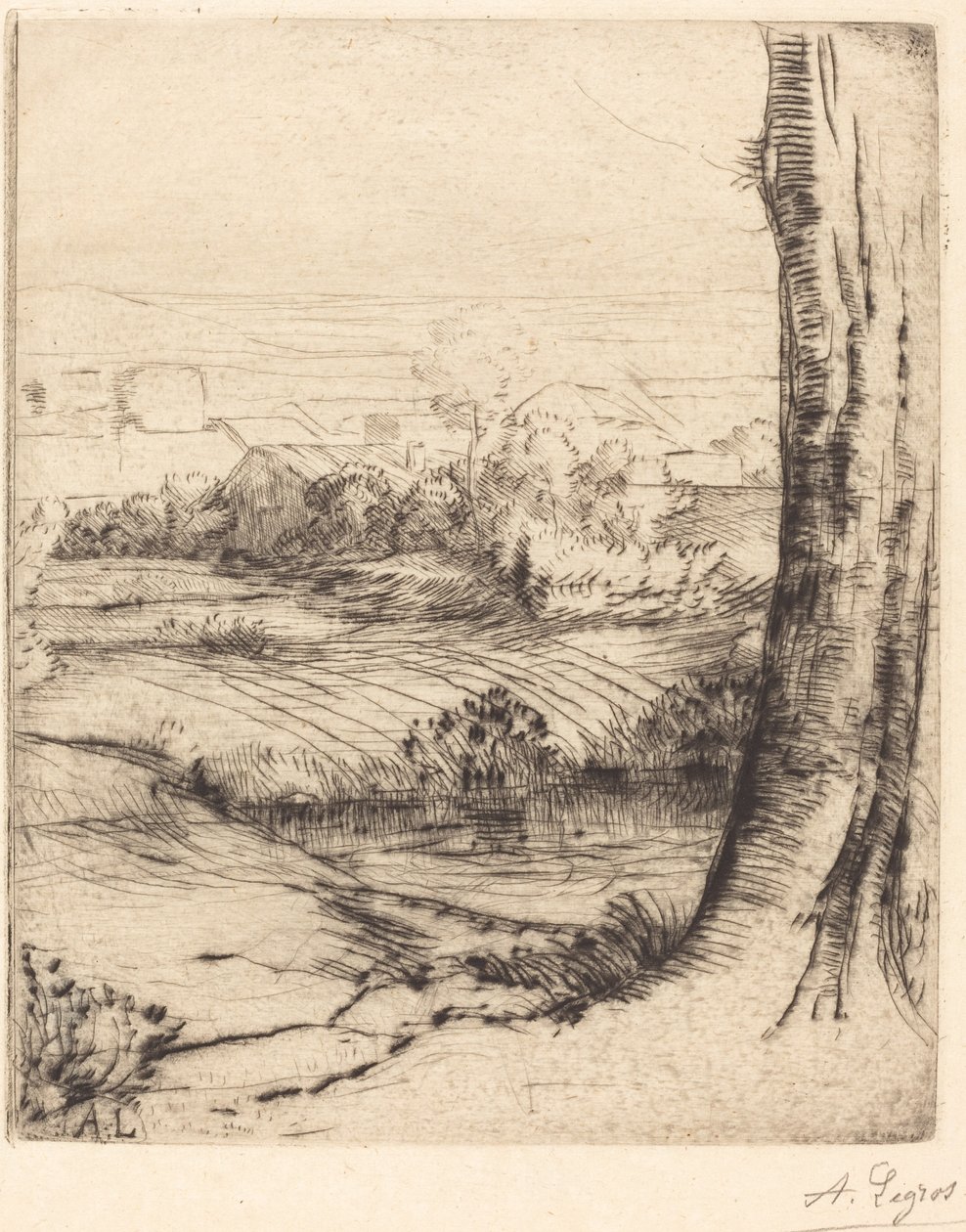 芦苇景观 作者 阿方斯·莱格罗斯（Alphonse Legros）