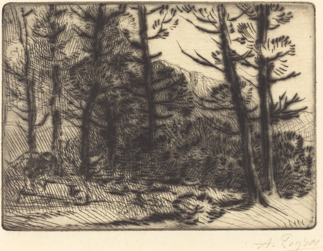 冬日的树林，第2版 作者 阿方斯·莱格罗斯（Alphonse Legros）