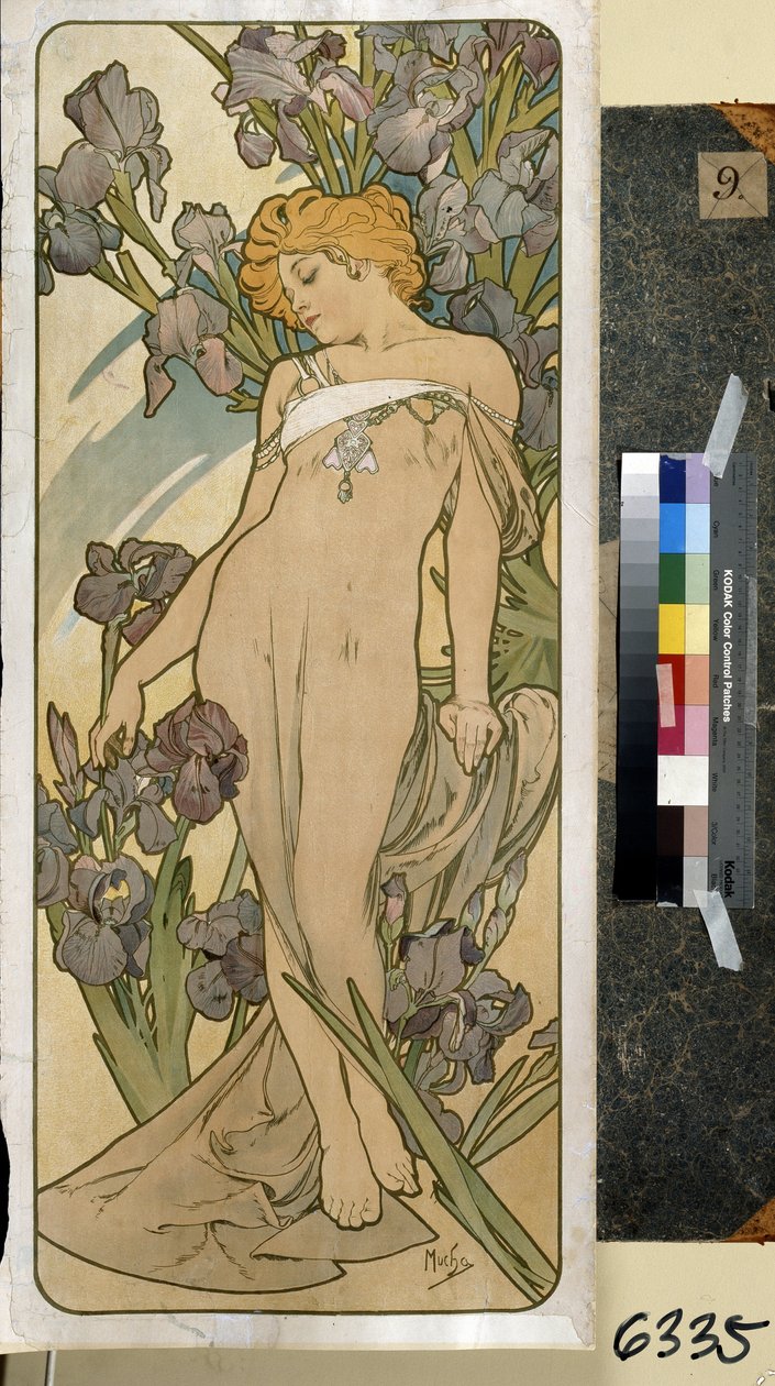 鸢尾花（花卉系列的一部分）。阿方斯-玛丽亚-穆夏（Alphonse Marie Mucha）的作品 作者 阿尔方斯·玛丽·穆夏