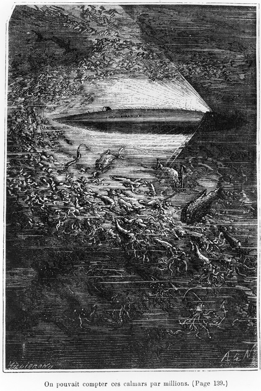 Jules Verne（1828-1905）的“20,000海底联盟”中的插图由Henri Theophile Hildibrand（1824-97）1877年刻 作者 阿方斯·玛丽·德·诺伊维尔