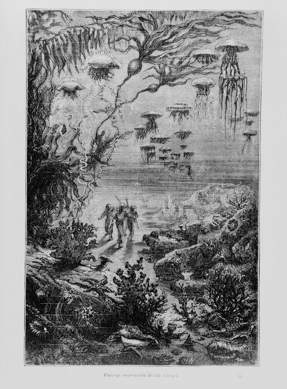 Jules Verne（1828-1905）的&39;20,000海底联盟&39;插图由Henri Theophile Hildibrand（1824-97）c.1869-70雕刻 作者 阿方斯·玛丽·德·诺伊维尔