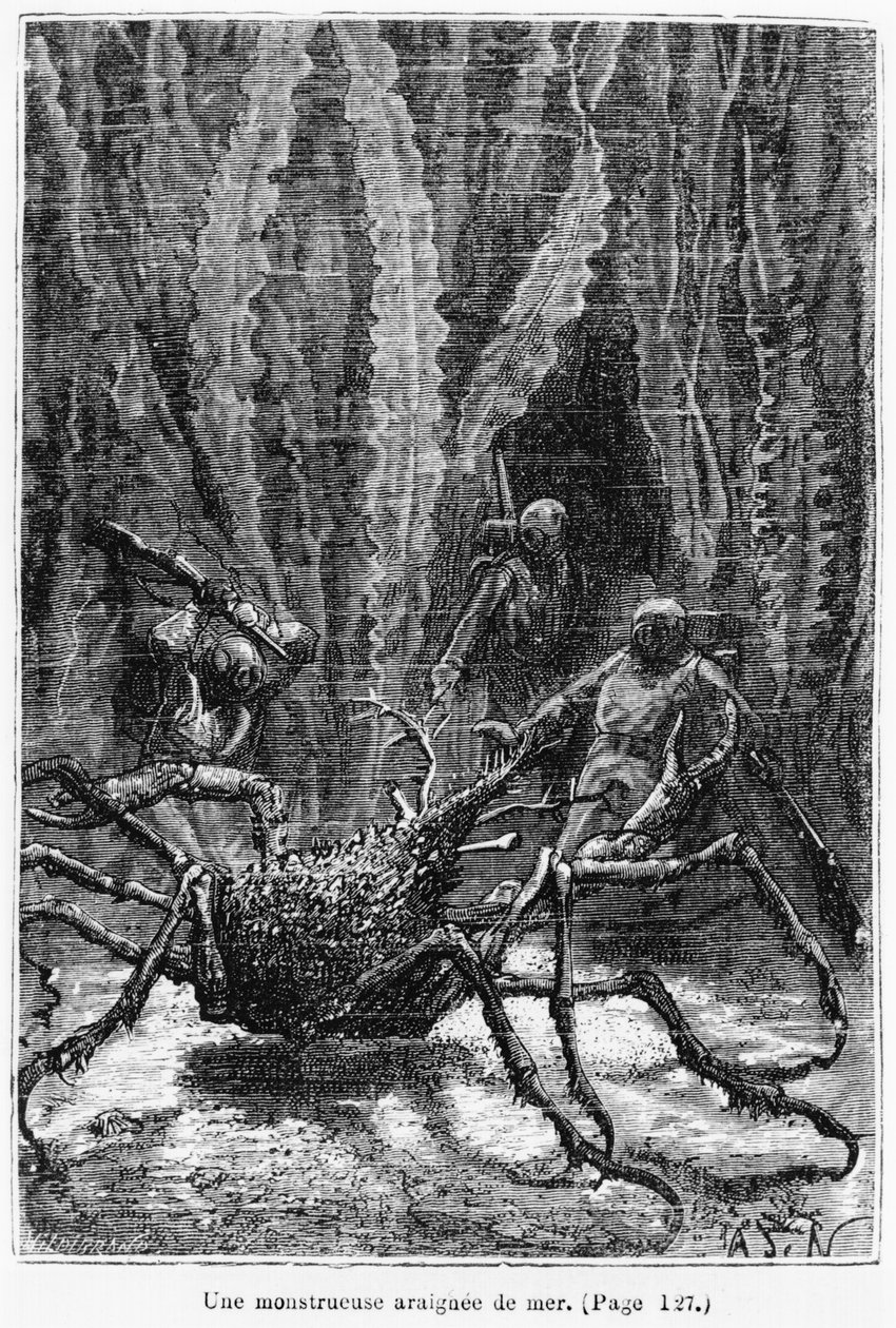Jules Verne（1828-1905）的&39;20,000海底联盟&39;中的蜘蛛蟹图片由Henri Theophile Hildibrand（1824-97）雕刻，巴黎，Hetzel，1877年出版 作者 阿方斯·玛丽·德·诺伊维尔