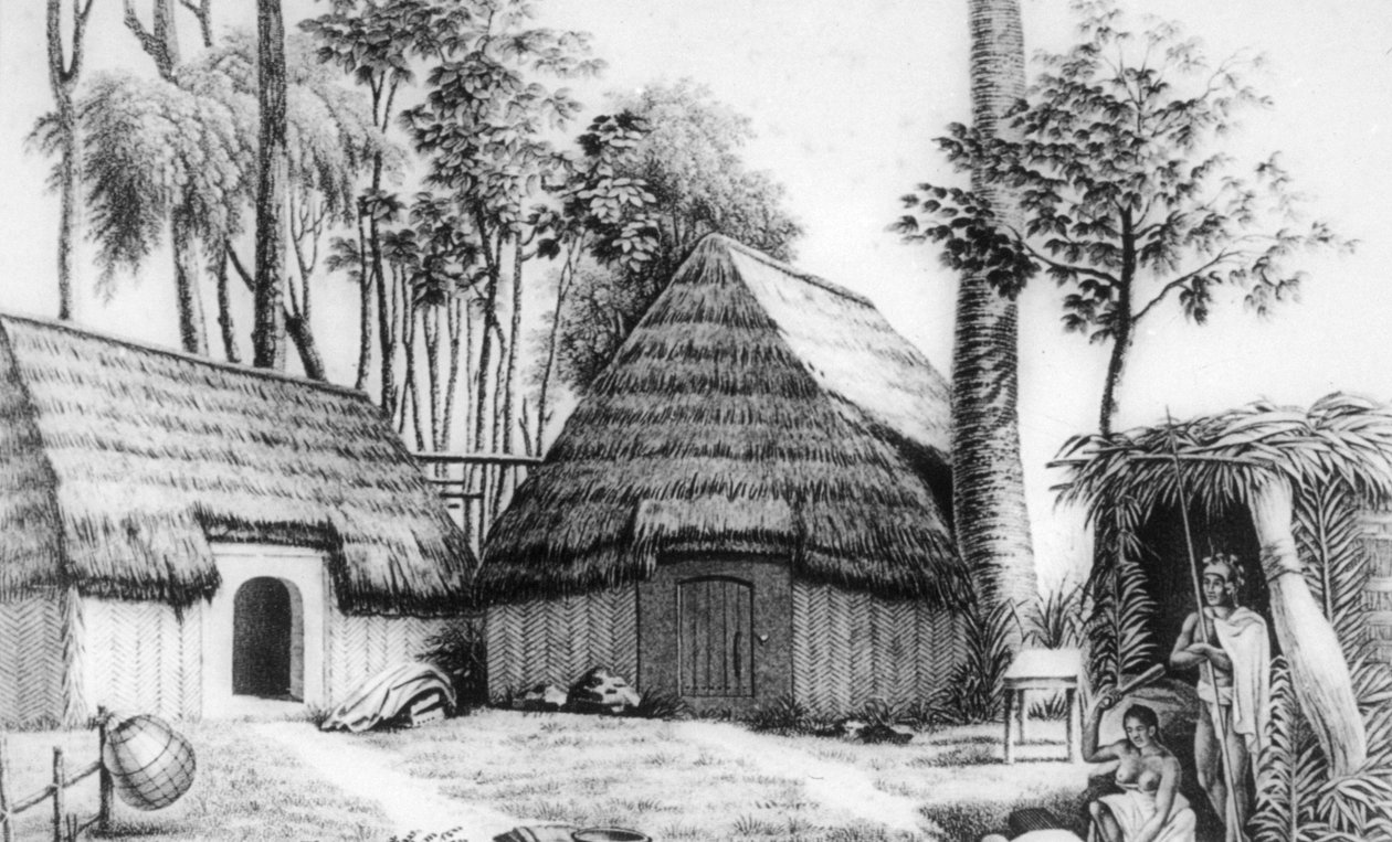 酋长的房子，Kalaimoku，1819年。 作者 阿方斯·皮立翁