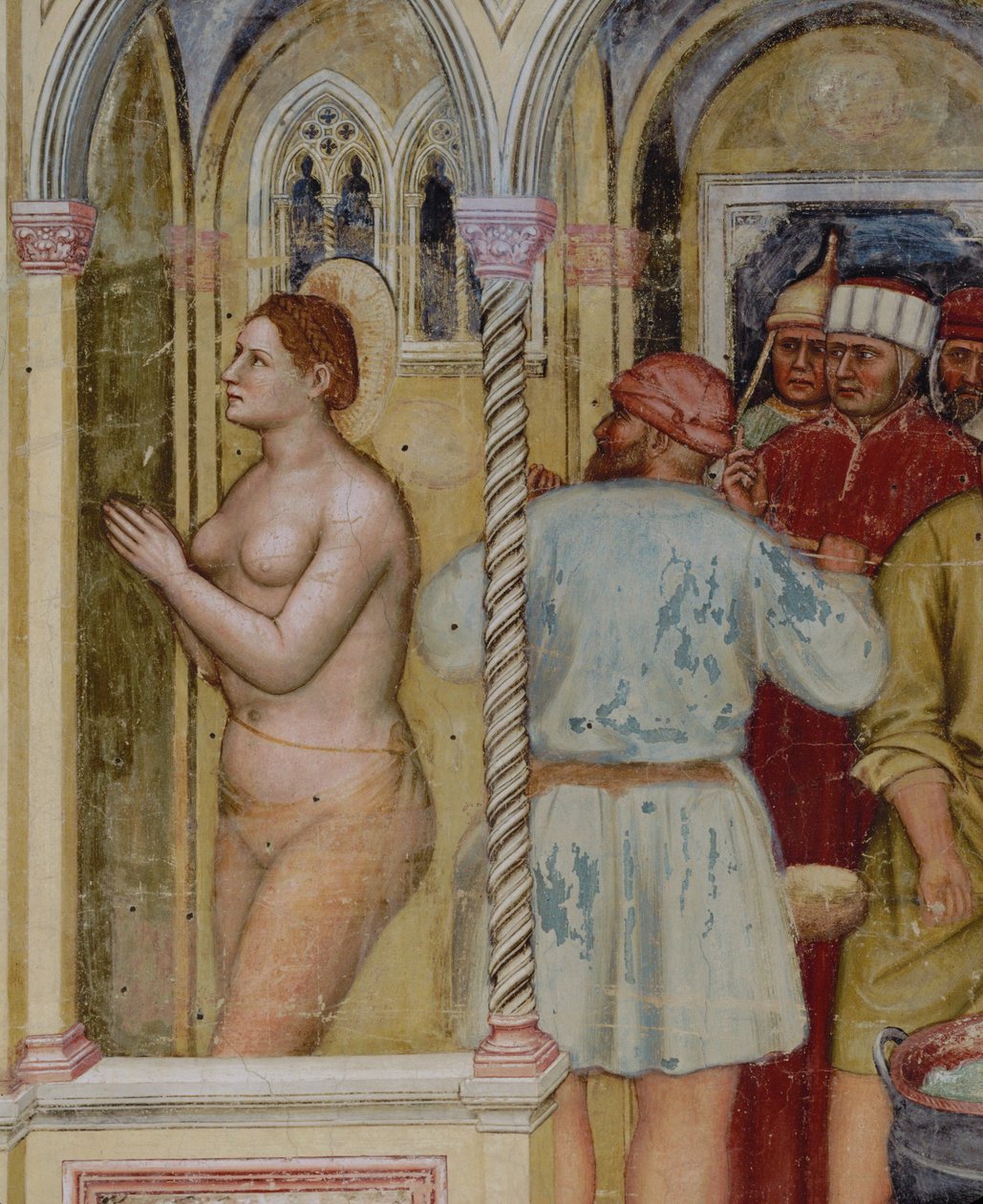  作者 阿尔齐罗·泽维奥