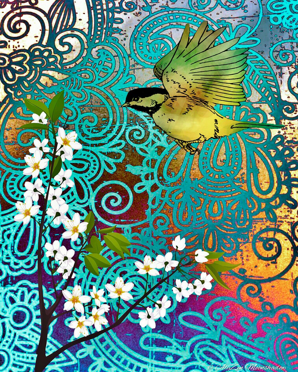 鸟与樱花，2014年，（数字混合媒体电话） 作者 艾丽森·月影
