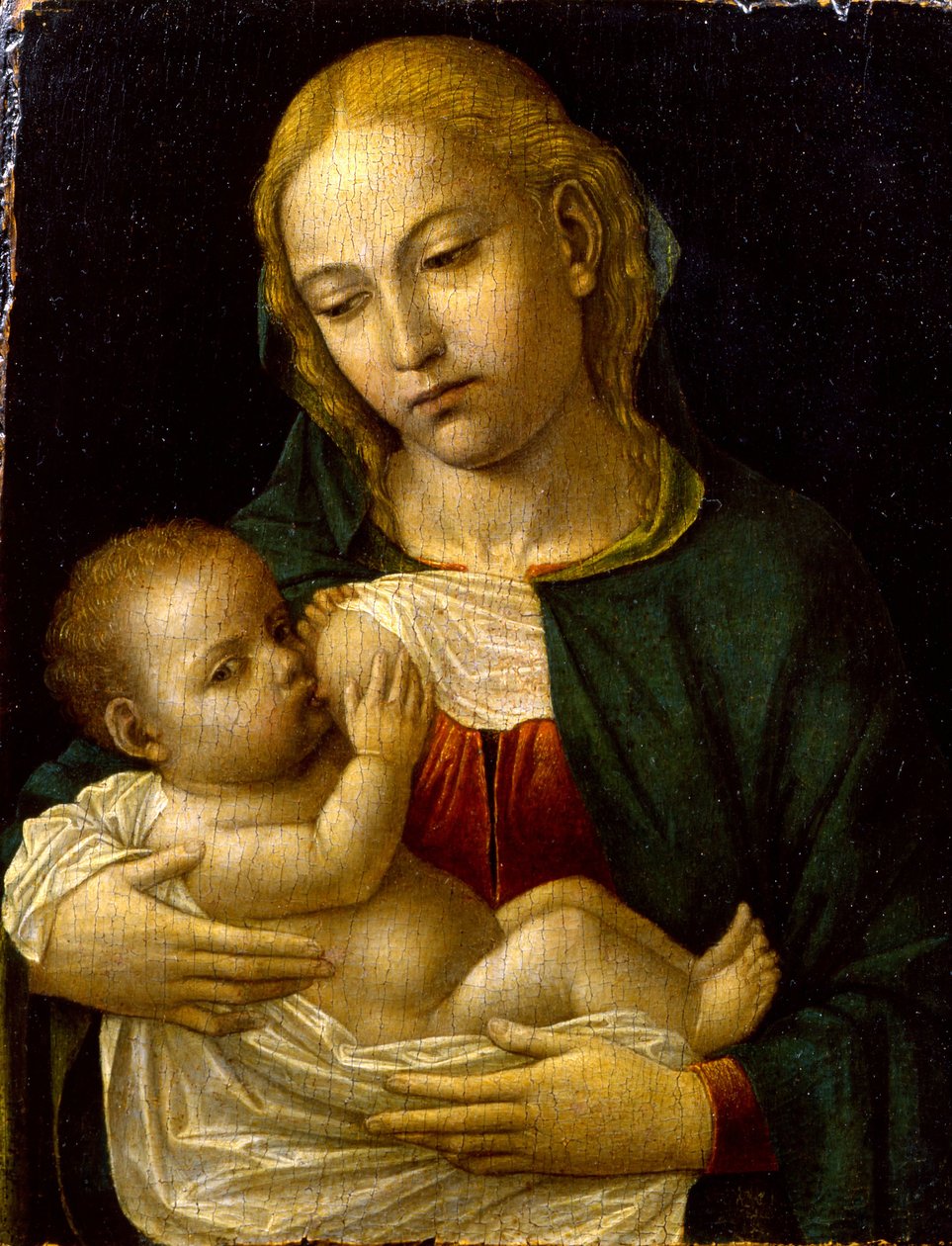 圣母玛利亚（Madonna del Latte），约1485年 作者 安布罗焦·伯格诺尼