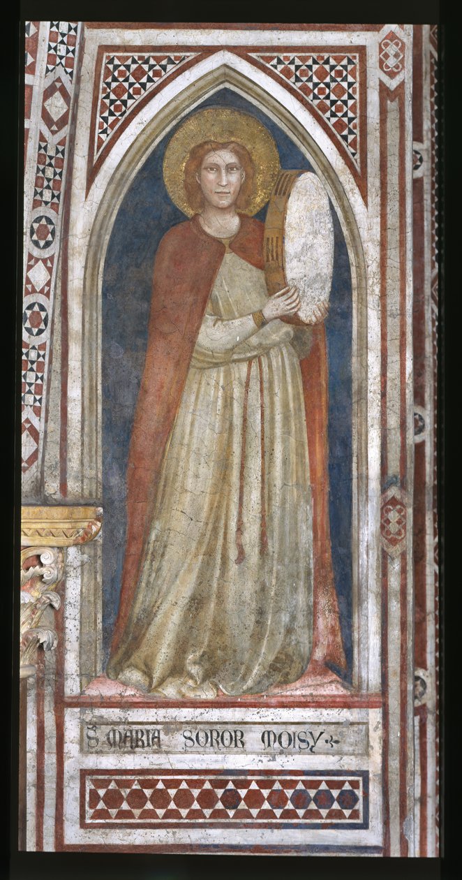 马加达林礼拜堂，北墙：“米里亚姆，摩西的妹妹” 作者 Ambrogio Bondone（车间）Giotto