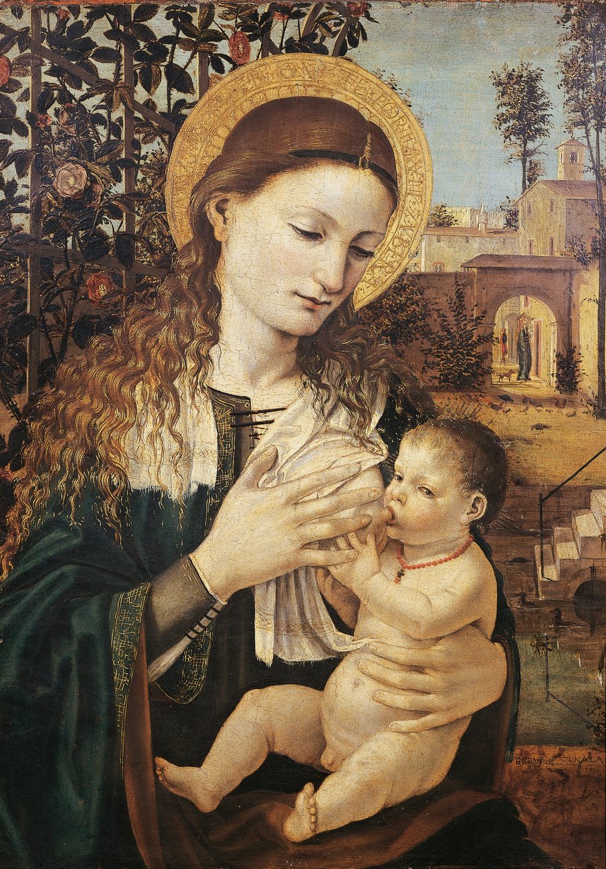 拿铁麦当娜 (Madonna del Latte)，安布罗斯·贝尔戈尼奥 (Ambrose Bergognone) 创作（约 1460-1523 年） 作者 安布罗吉奥·达·福萨诺 (c.1460 1523)
