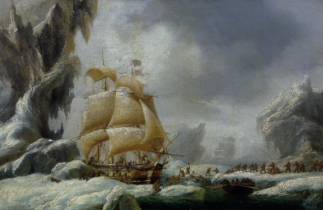 Jules Dumont d&39;Urville（1790-1845）的船停留在南极洲的浮冰中 作者 安布罗斯·路易斯·加内雷