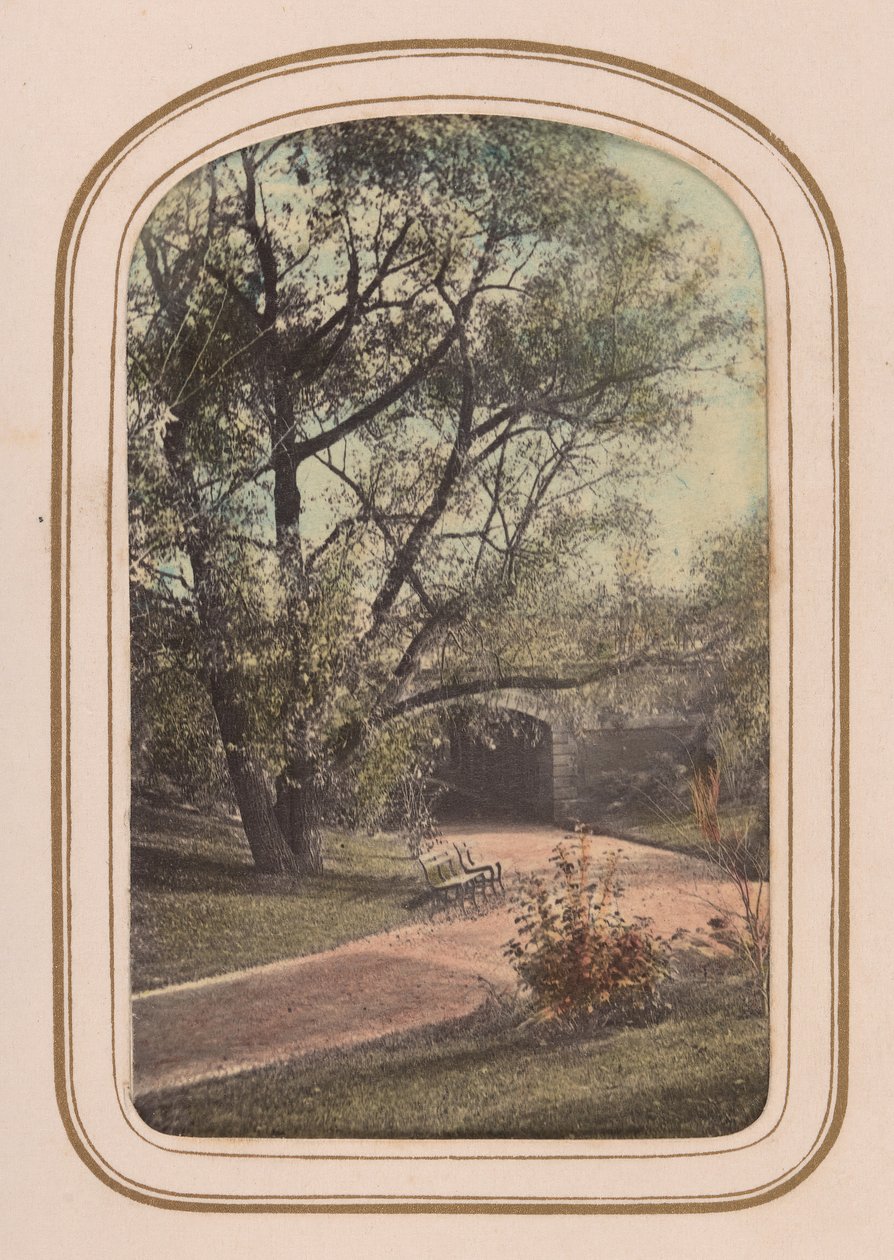 中央公园风景画册，1860年代。 作者 安布罗斯杰克逊