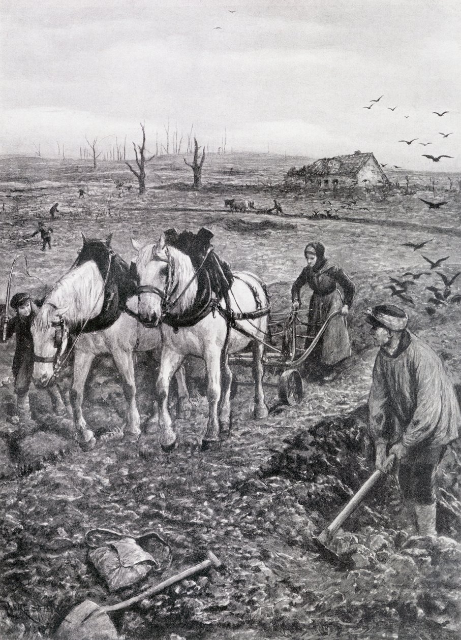农民工作Ruined Fields，1918年（半色调新闻纸） 作者 阿梅迪·福雷斯蒂尔