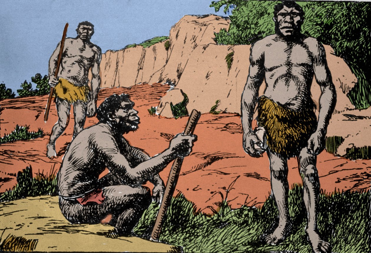 史前：罗得西亚人（Homo rhodesiensis）或破山人的代表，智人的祖先，其化石在罗得西亚（今非洲的赞比亚）被发现。由A. Forestier绘制。DR 作者 阿梅迪·福雷斯蒂尔