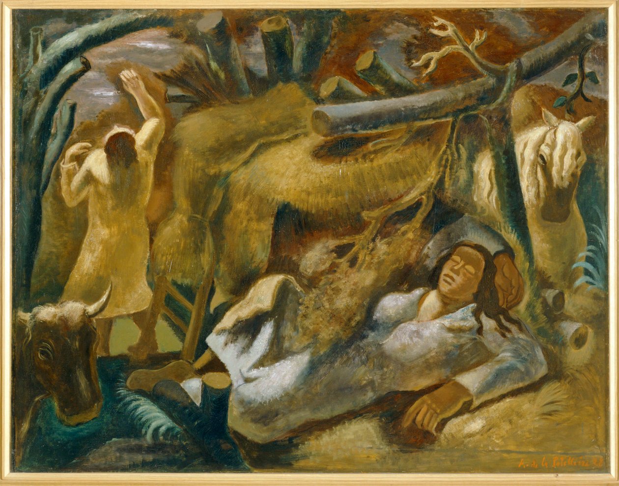  作者 阿梅迪·德拉·帕特里耶尔