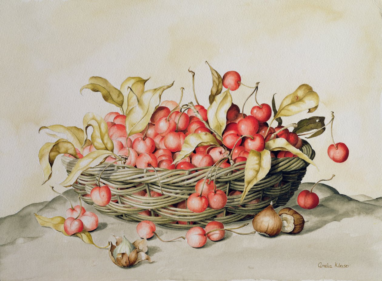 一篮子樱桃，1998年（wc在纸上） 作者 阿米莉亚·克莱瑟（Amelia Kleiser）