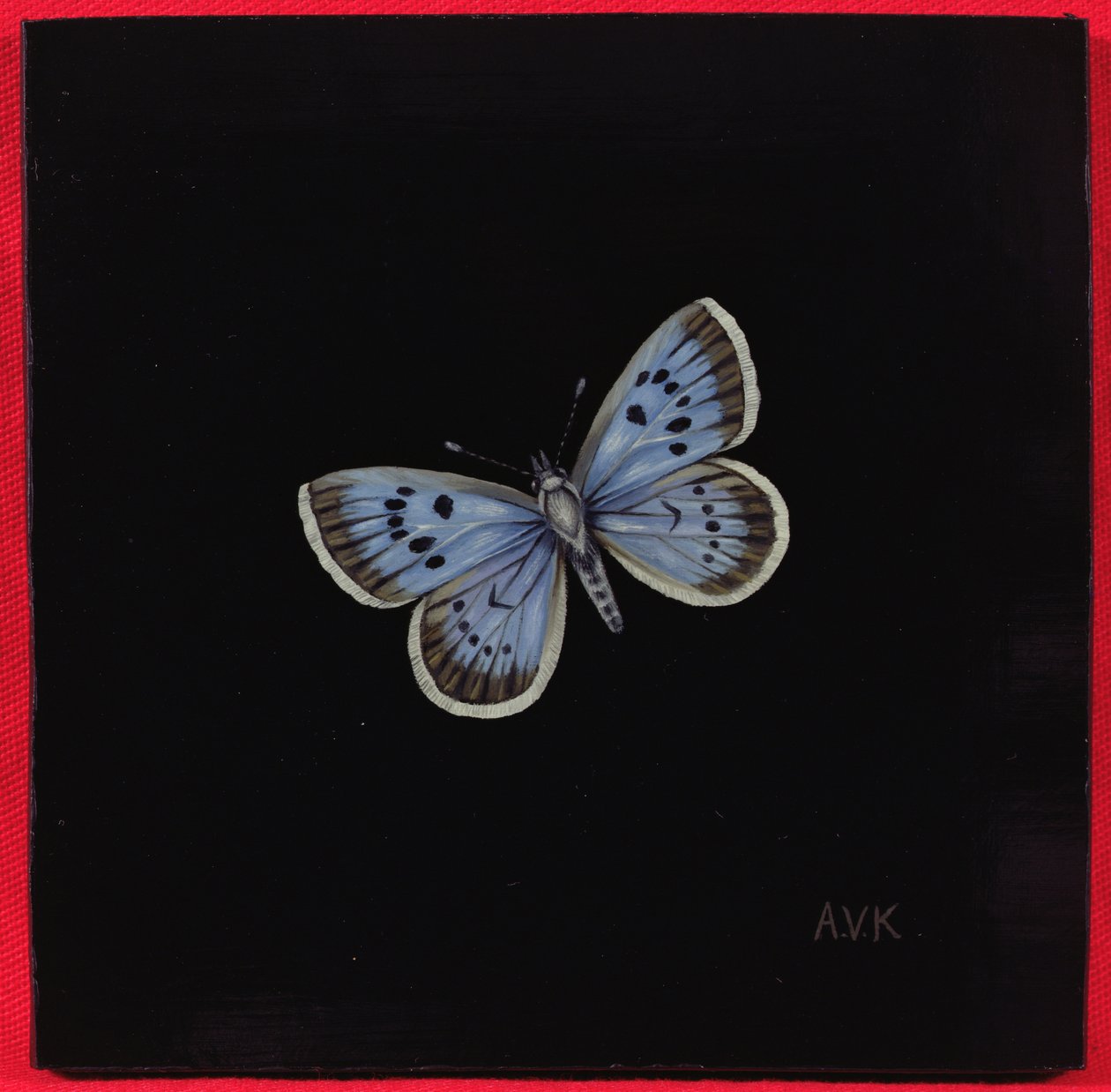 大蓝蝴蝶，2000 作者 阿米莉亚·克莱瑟（Amelia Kleiser）