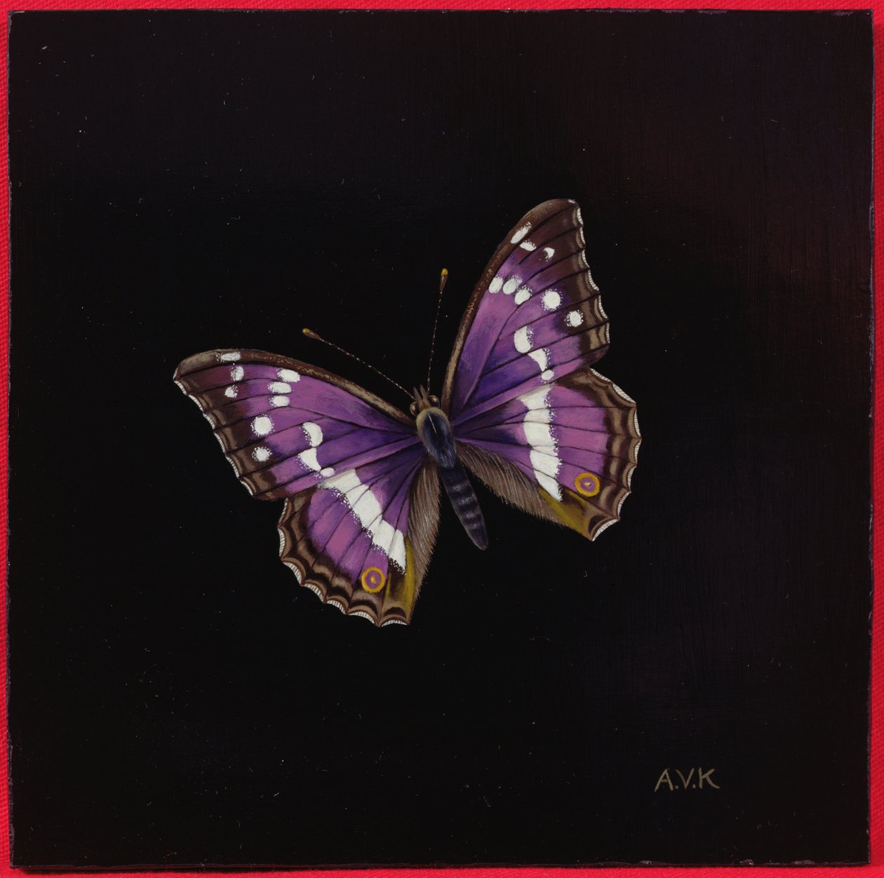 紫色皇帝蝴蝶，2000 作者 阿米莉亚·克莱瑟（Amelia Kleiser）