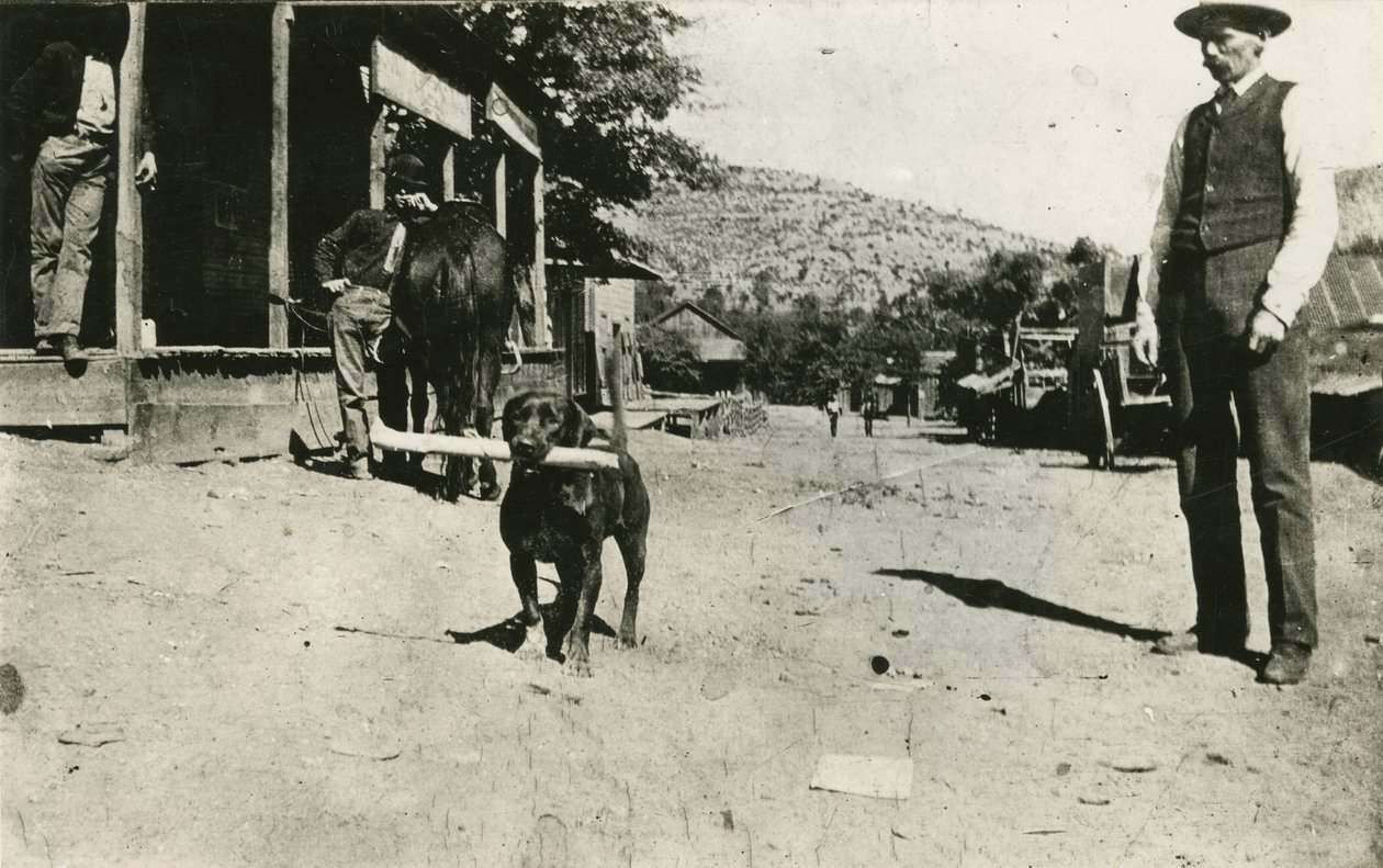 布奇卡西迪（1886-1908） 作者 美国摄影师