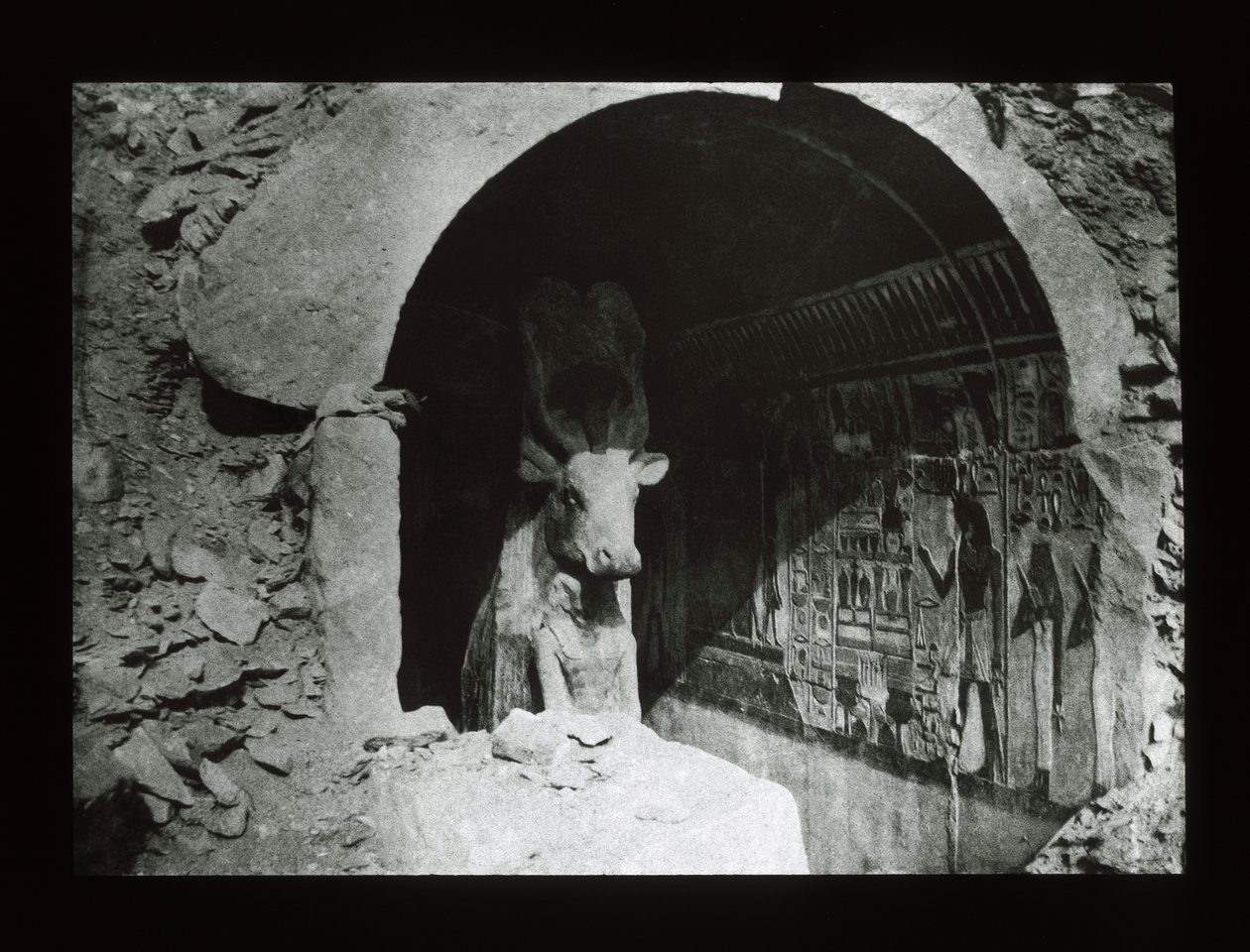 Hathor牛在18世纪的神殿，Deir El-Bahri（灯笼幻灯片） 作者 美国摄影师