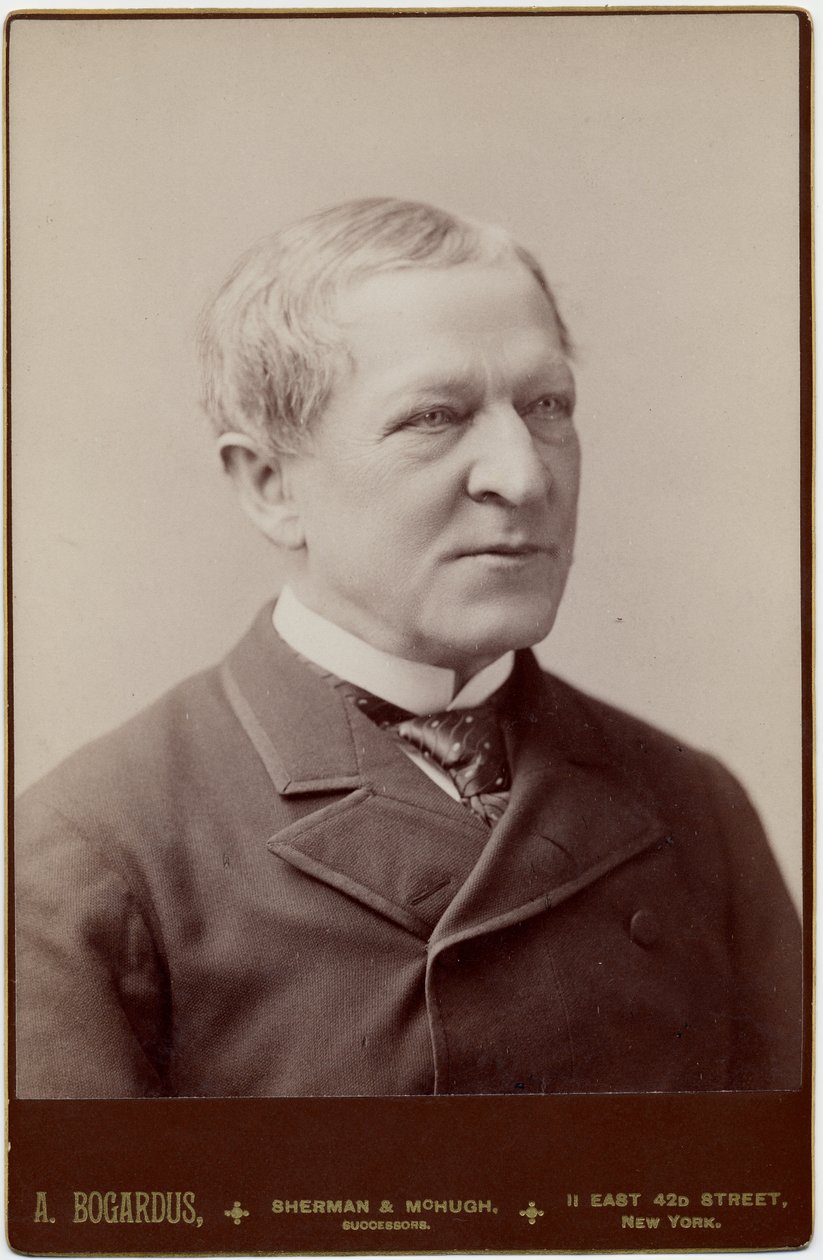 Levi Parsons Morton（1824-1920），美国第22任副总统;摄影：A Bogardus，纽约（蛋白照片） 作者 美国摄影师