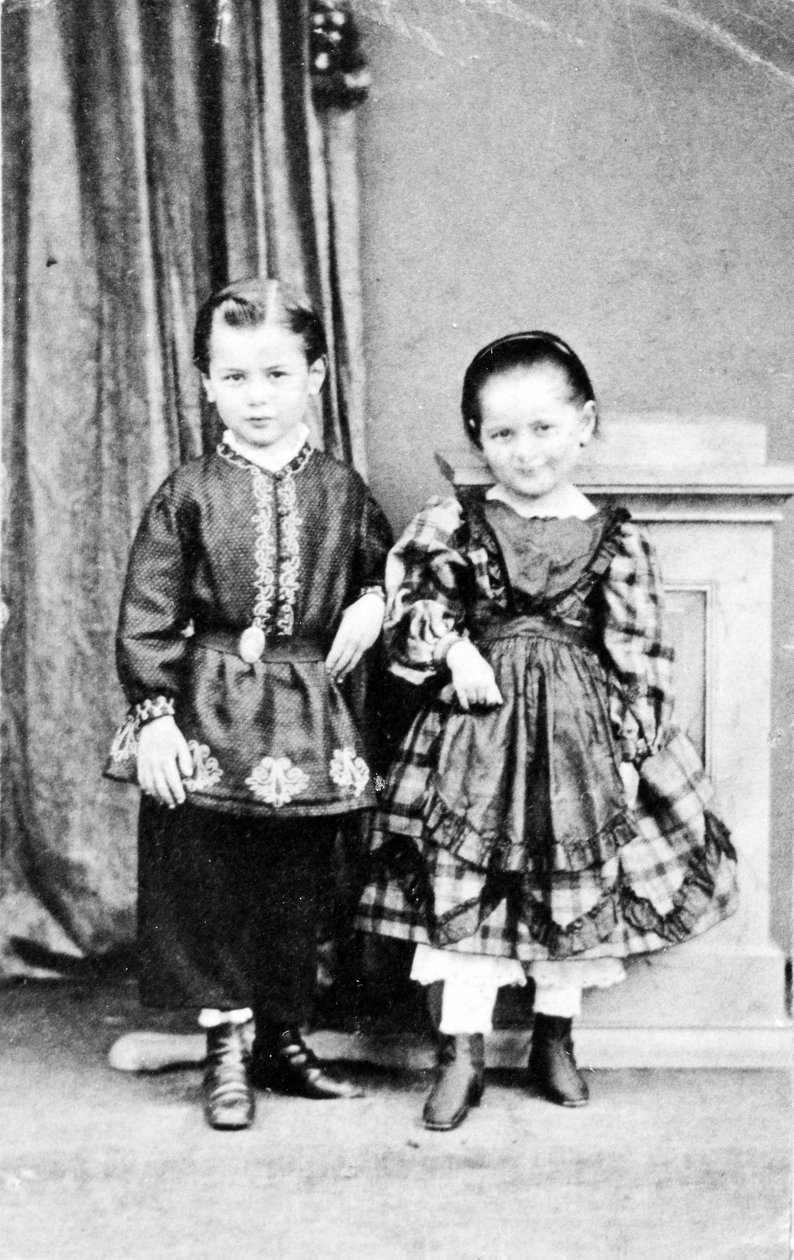 兄弟和姐妹的画象，c.1860 作者 美国摄影师