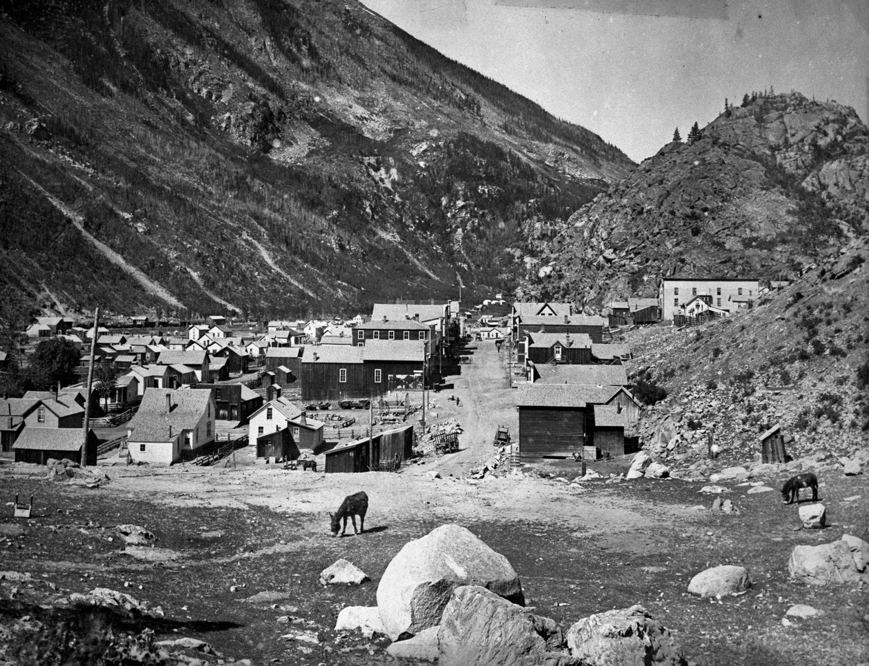 银羽 - 在1884年11月5日火灾之前，1880-84 作者 美国摄影师
