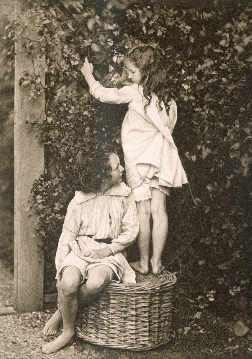 夏季花园，来自太阳艺术家：一系列艺术摄影，由Kegan Paul出版，Trench Trubner，伦敦，1889-91 作者 美国摄影师