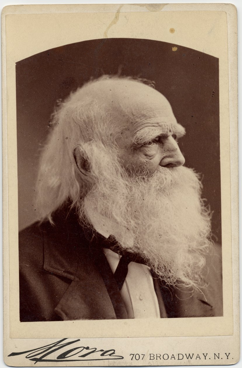 William Cullen Bryant（1794-1878），美国诗人，摄影：Albert J Mora，纽约（蛋白照片） 作者 美国摄影师