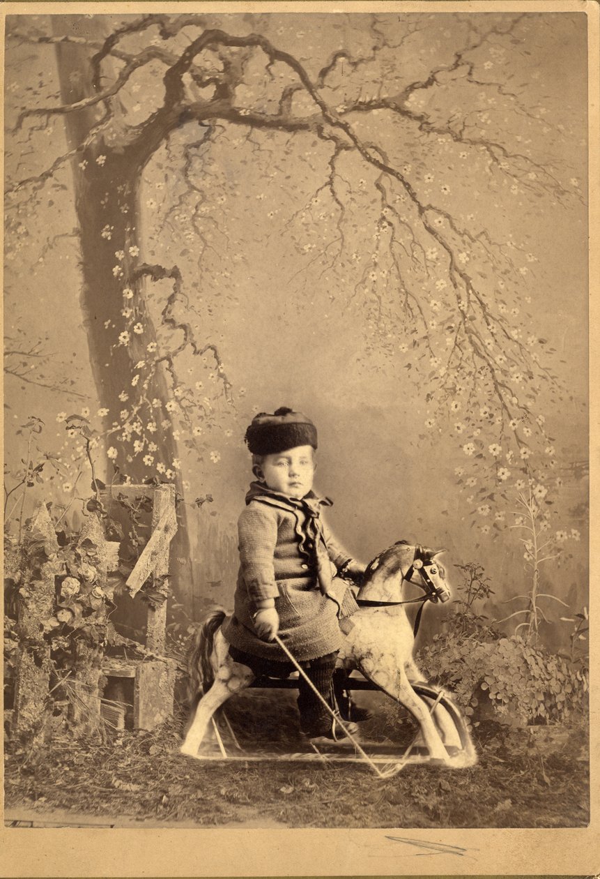 年轻的男孩坐在摇马与大型彩绘背景，1880年代（蛋白打印） 作者 美国摄影师