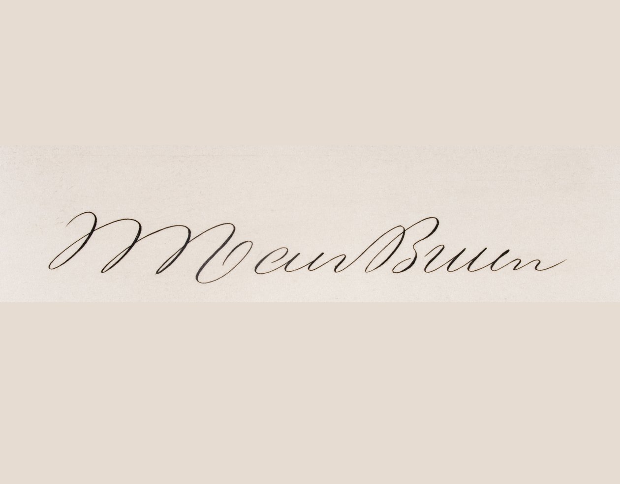 Martin van Buren的签名 作者 美国学校