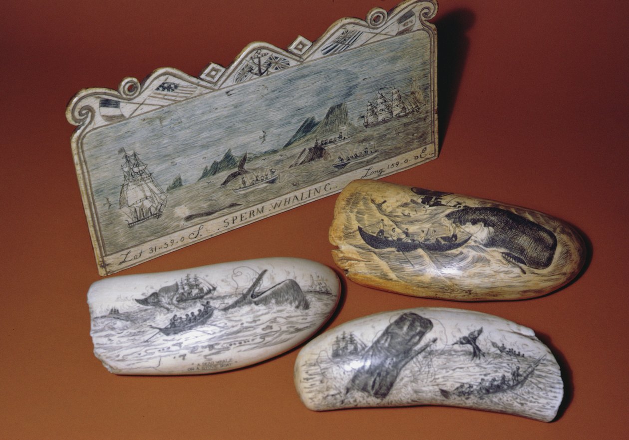 捕鲸scrimshaw（牙齿） 作者 美国学校