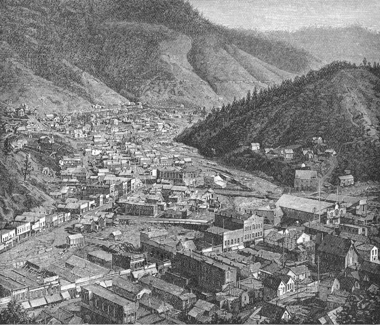 黑山的枯木，来自《哈珀新月刊》的插图，1889年2月（雕刻）。 作者 美国摄影师
