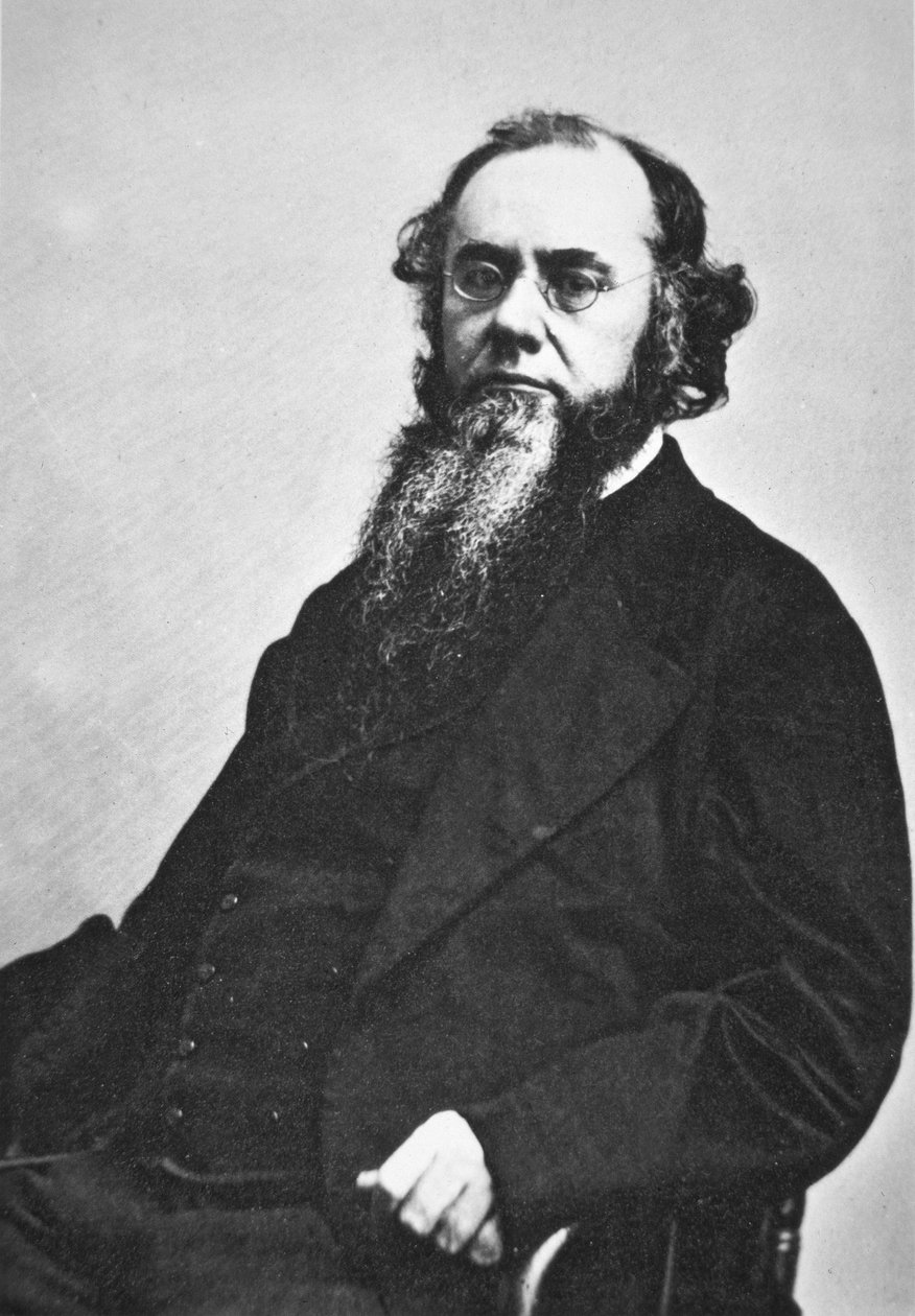 Edwin M. Stanton (1814-69)（黑白照片） 作者 美国摄影师