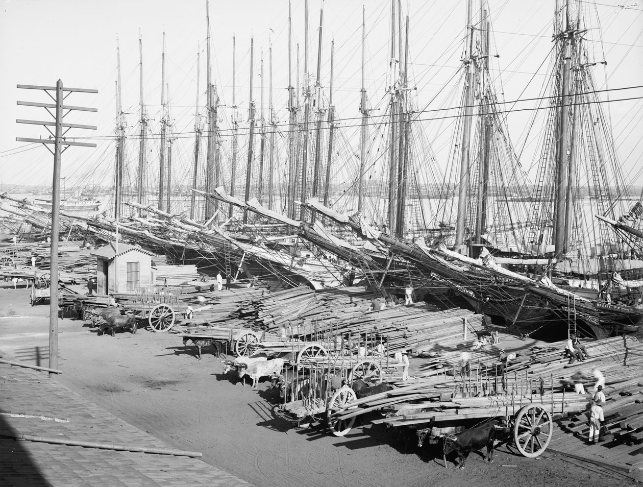 约1904年，哈瓦那的Muelle Tallapiedras（B/W照片）。 作者 美国摄影师